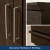 Sauder HomePlus Storage Cabinet/ Pantry cabinets, Dakota Oak finish Sauder HomePlus Storage Cabinet/ Pantry cabinets, Dakota Oak finish