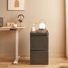 Approgreent 2 Drawer File Cabinets for Home Office, Vertical File Cabinet with Lock, Office Cabinet for A4/Letter/Legal Size, Under Desk Filing Cabinet, Assembly Required(Black)