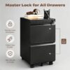 Approgreent 2 Drawer Metal File Cabinet, Fully Assembled Locking Filing Cabinet with Anti-Tipping Wheels, Quiet Slide, Heavy-Duty Steel Construction, Fits A4 Letter Legal for Home Office, Matte Black