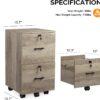 VINGLI 2 Drawer File Cabinet with Lock, Wood Rustic Gray Filing Cabinet for Letter Size File Folders with Tabs, Under Desk Rolling File Cabinets for Home Office, Mobile File Organization Printer Stand VINGLI 2 Drawer File Cabinet with Lock, Wood Rustic Gray Filing Cabinet for Letter Size File Folders with Tabs, Under Desk Rolling File Cabinets for Home Office, Mobile File Organization Printer Stand