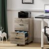 VINGLI 2 Drawer File Cabinet with Lock, Wood Rustic Gray Filing Cabinet for Letter Size File Folders with Tabs, Under Desk Rolling File Cabinets for Home Office, Mobile File Organization Printer Stand VINGLI 2 Drawer File Cabinet with Lock, Wood Rustic Gray Filing Cabinet for Letter Size File Folders with Tabs, Under Desk Rolling File Cabinets for Home Office, Mobile File Organization Printer Stand