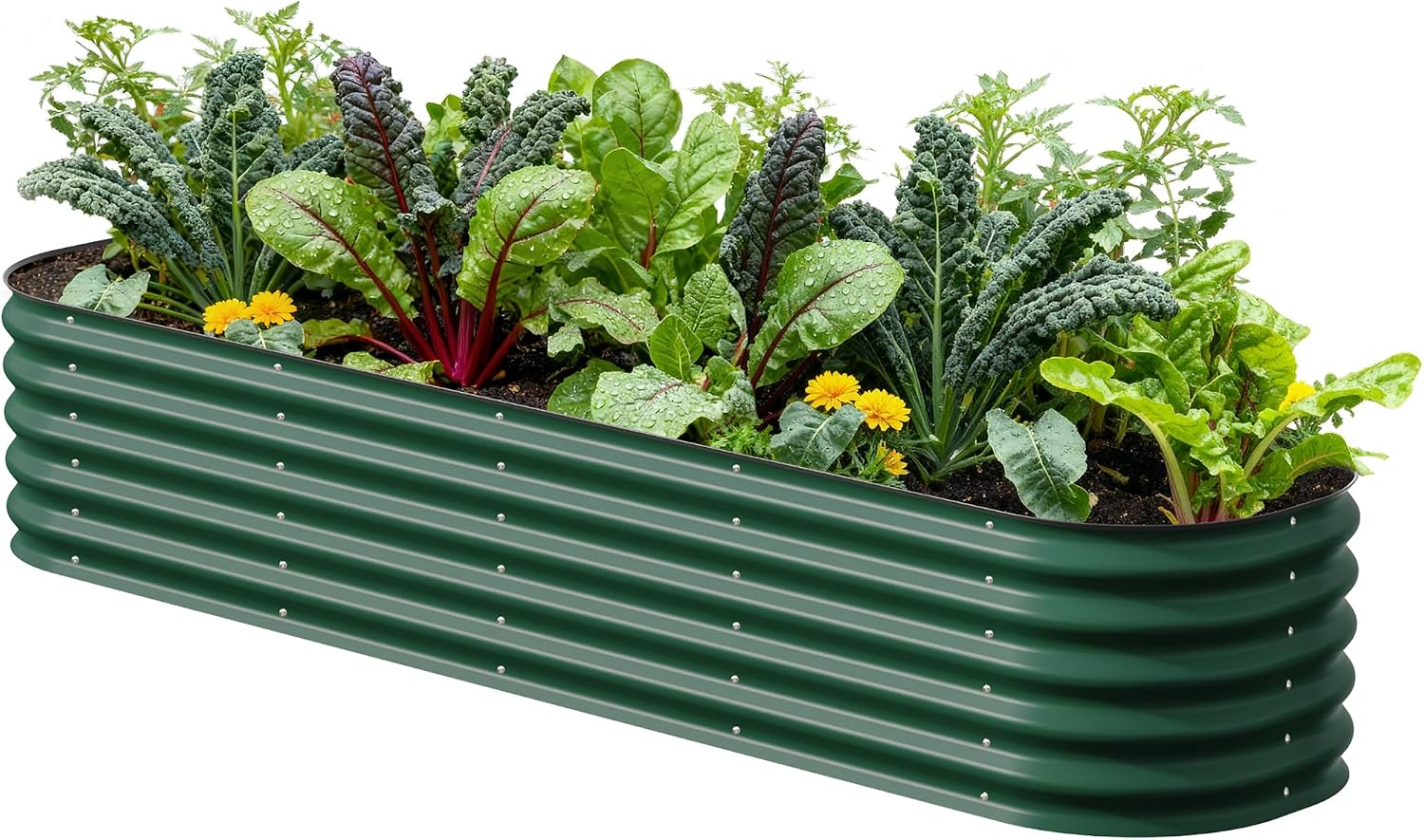 Vego garden Raised Garden Bed Kits, 17" Tall 9 in 1 8ft X 2ft Metal Raised Planter Bed for Vegetables Flowers Ground Planter Box-British Green Vego garden Raised Garden Bed Kits, 17" Tall 9 in 1 8ft X 2ft Metal Raised Planter Bed for Vegetables Flowers Ground Planter Box-British Green