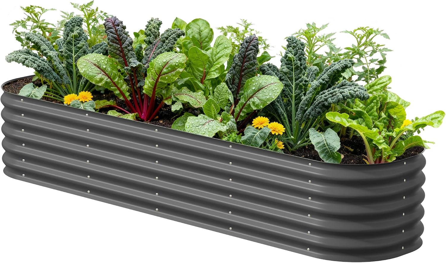 Vego garden Raised Garden Bed Kits, 17" Tall 9 in 1 8ft X 2ft Metal Raised Planter Bed for Vegetables Flowers Ground Planter Box-Modern Gray Vego garden Raised Garden Bed Kits, 17" Tall 9 in 1 8ft X 2ft Metal Raised Planter Bed for Vegetables Flowers Ground Planter Box-Modern Gray