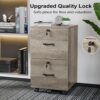VINGLI 2 Drawer File Cabinet with Lock, Wood Rustic Gray Filing Cabinet for Letter Size File Folders with Tabs, Under Desk Rolling File Cabinets for Home Office, Mobile File Organization Printer Stand VINGLI 2 Drawer File Cabinet with Lock, Wood Rustic Gray Filing Cabinet for Letter Size File Folders with Tabs, Under Desk Rolling File Cabinets for Home Office, Mobile File Organization Printer Stand