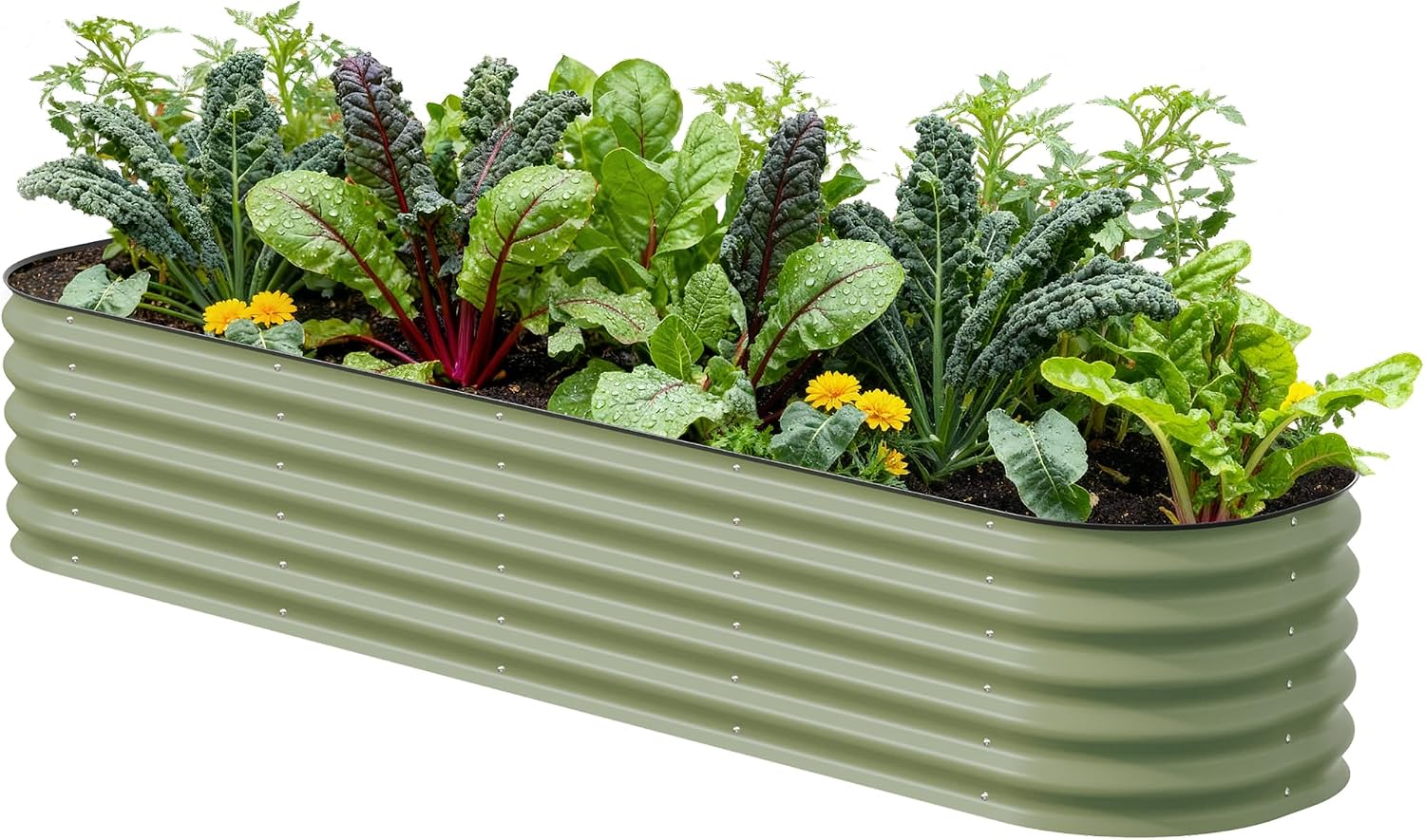 Vego garden Raised Garden Bed Kits, 17" Tall 9 in 1 8ft X 2ft Metal Raised Planter Bed for Vegetables Flowers Ground Planter Box-Olive Green Vego garden Raised Garden Bed Kits, 17" Tall 9 in 1 8ft X 2ft Metal Raised Planter Bed for Vegetables Flowers Ground Planter Box-Olive Green