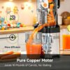 Cold Press Juicer Machine, 5.4" Wide Self-Feeding Chute | Masticating Juice Extractor for Whole Fruits & Vegetables,Large Auger & Triple Strainers, High Juice Yield, Easy to Clean Cold Press Juicer Machine, 5.4" Wide Self-Feeding Chute | Masticating Juice Extractor for Whole Fruits & Vegetables,Large Auger & Triple Strainers, High Juice Yield, Easy to Clean