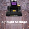 Eureka NEU182B PowerSpeed Bagless Upright Vacuum Cleaner, Purple | Upright Vacuum, 5-Height Brush Roll Adjust, 12.6" wide cleaning path, Pet Hair, Carpet & Hard Floor Cleaner,Purple
